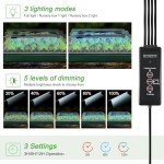 Indoor Seed Starter Kits with Grow Light 80 Cells