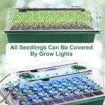 Indoor Seed Starter Kits with Grow Light 80 Cells