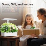 SUNCOZE Hydroponics Indoor Herb Garden Kit