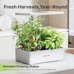 SUNCOZE Hydroponics Indoor Herb Garden Kit