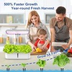 WiFi-Controlled Hydroponic Indoor Garden System