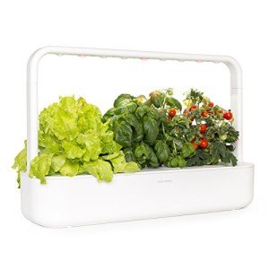 Smart Indoor Herb Garden Kit with Grow Light