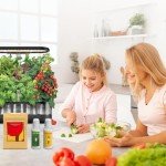 Fruit Seed Pod Kit for Smart Garden Systems