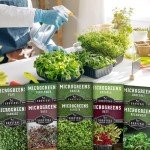 Assorted Microgreens Seed Pack for Indoor Gardening