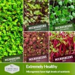 Assorted Microgreens Seed Pack for Indoor Gardening