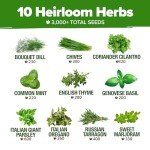 10 Non-GMO Herb Seeds for Indoor Gardens