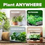 10 Non-GMO Herb Seeds for Indoor Gardens