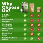 10 Non-GMO Herb Seeds for Indoor Gardens