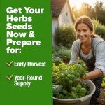 10 Non-GMO Herb Seeds for Indoor Gardens