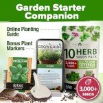 10 Non-GMO Herb Seeds for Indoor Gardens
