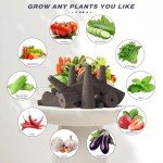 100 Hydroponic Grow Sponges for Indoor Gardens