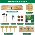 Bonsai Tree Starter Kit for Indoor Gardening