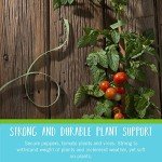 Reusable Adjustable Garden Ties | 50 ft Length