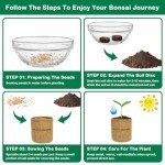 Bonsai Tree Starter Kit for Indoor Gardening