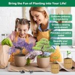 Bonsai Tree Starter Kit for Indoor Gardening