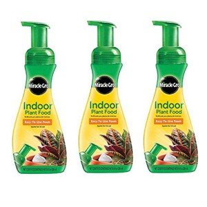 Miracle-Gro Indoor Plant Food - 3 Pack