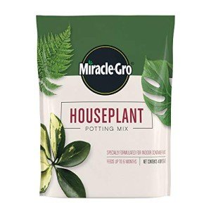 Miracle-Gro Indoor Potting Mix with Perlite, 4 qt