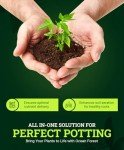 FoxFarm Ocean Forest Potting Soil – 12qt Bag