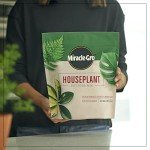Miracle-Gro Indoor Potting Mix with Perlite, 4 qt