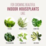 Miracle-Gro Indoor Potting Mix with Perlite, 4 qt