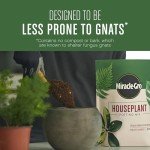 Miracle-Gro Indoor Potting Mix with Perlite, 4 qt