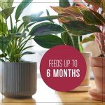 Miracle-Gro Indoor Potting Mix with Perlite, 4 qt