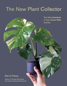 Plant Collector: Your Next Indoor Gardening Adventure