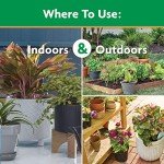 Miracle-Gro All-Purpose Plant Food for Gardens