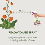 Garden Safe 32 oz. Insecticidal Soap Spray