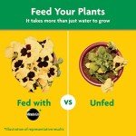 Miracle-Gro All-Purpose Plant Food for Gardens