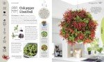 Herb, Fruit, and Veg Indoor Garden Guide