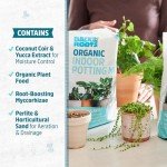 Organic Indoor Potting Mix for Healthy Plants