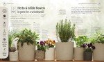 Herb, Fruit, and Veg Indoor Garden Guide