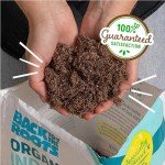 Organic Indoor Potting Mix for Healthy Plants