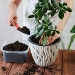Organic Indoor Potting Mix for Healthy Plants