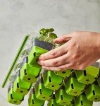 Burpee SuperSeed Indoor Garden Seed Starting Tray