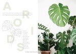 Ultimate Guide to Houseplants for Your Home