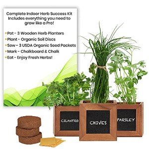 Indoor Herb Garden Kit with Wooden Pots & Seeds
