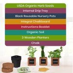 Indoor Herb Garden Kit with Wooden Pots & Seeds