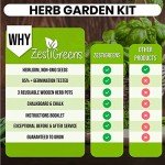 Indoor Herb Garden Kit with Wooden Pots & Seeds