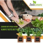 Indoor Herb Garden Kit with Wooden Pots & Seeds