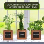 Indoor Herb Garden Kit with Wooden Pots & Seeds