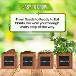 Indoor Herb Garden Kit with Wooden Pots & Seeds