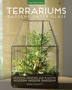 Modern Indoor Garden Terrariums: Design & Plant