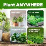 15 Organic Herb Seeds Variety Pack for Indoors