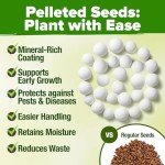 15 Organic Herb Seeds Variety Pack for Indoors