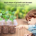 Bonviee Seed Starter Tray Kit with Humidity Dome