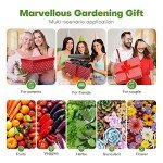 Smart Hydroponic Indoor Garden System with LED Grow Light