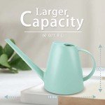 Compact Green Watering Can for Indoor Plants