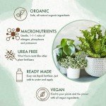 Organic Liquid Fertilizer for Indoor and Outdoor Plants